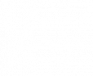 AV1